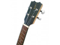 APC CS Concerto Simples APC CS Concerto Simples